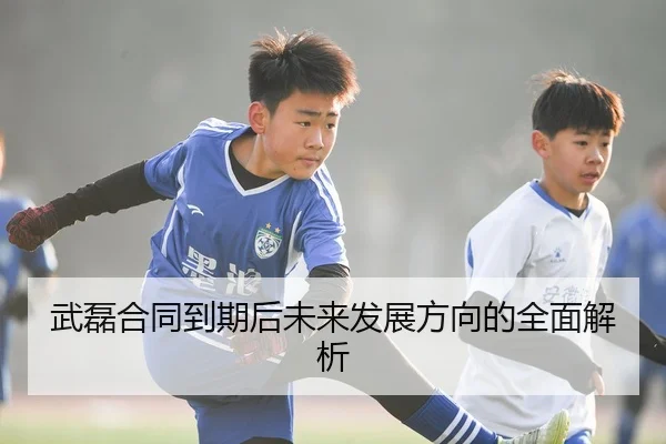 武磊合同到期后未来发展方向的全面解析