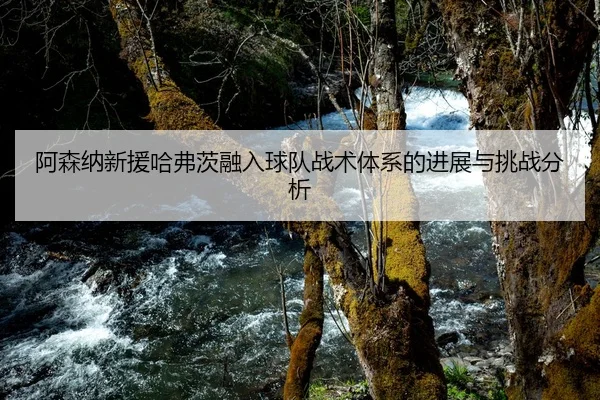 阿森纳新援哈弗茨融入球队战术体系的进展与挑战分析